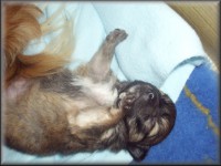 /album/fotogalerie-benjamin/benji-3-jpg/